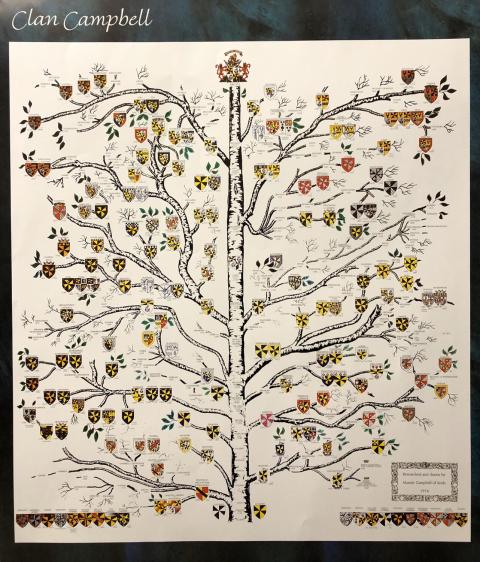 Clan Campbell Cadet Branches Matriculated Arms Family Tree by Alastair Lorne Campbell of Airds c1976