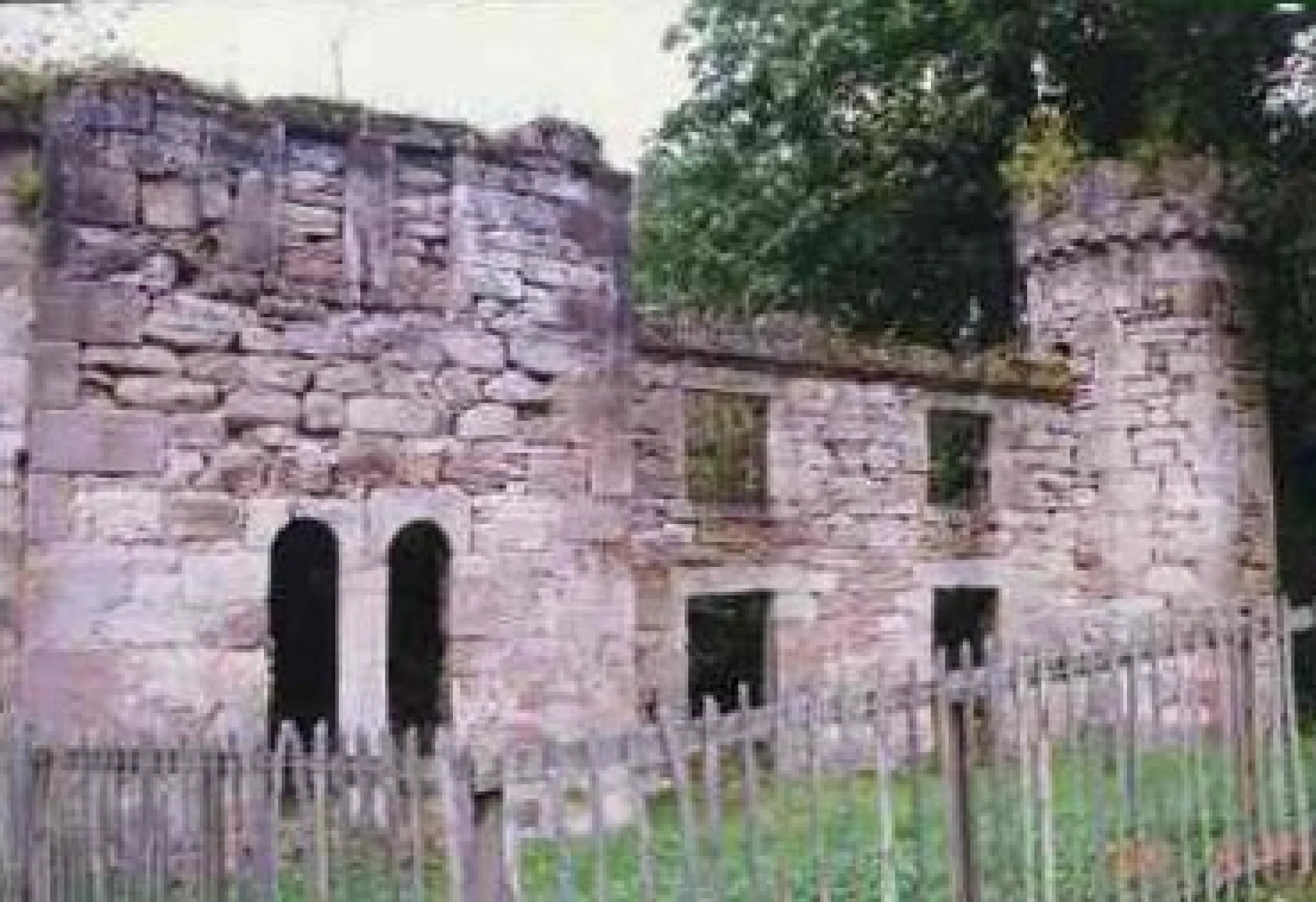 Loudoun Castle Kids Page 2