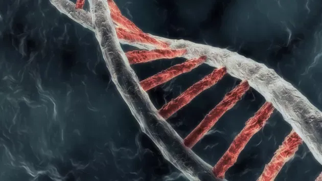 dna_double_helix.jpg